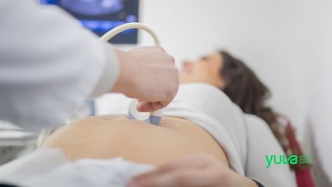 Bebek Kalp Atışı Kaçıncı Haftada Duyulur? Gebelikte Kardiyak Gelişim Rehberi Bebek Kalp Atışı Kaçıncı Haftada Duyulur? Gebelikte Kardiyak Gelişim Rehberi